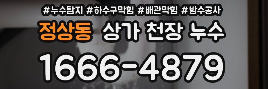 정상동 상가 천장 누수