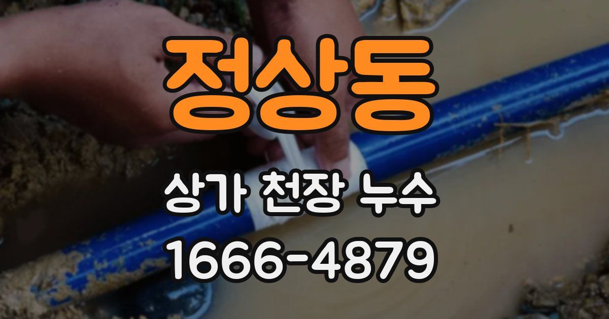 정상동 상가 천장 누수