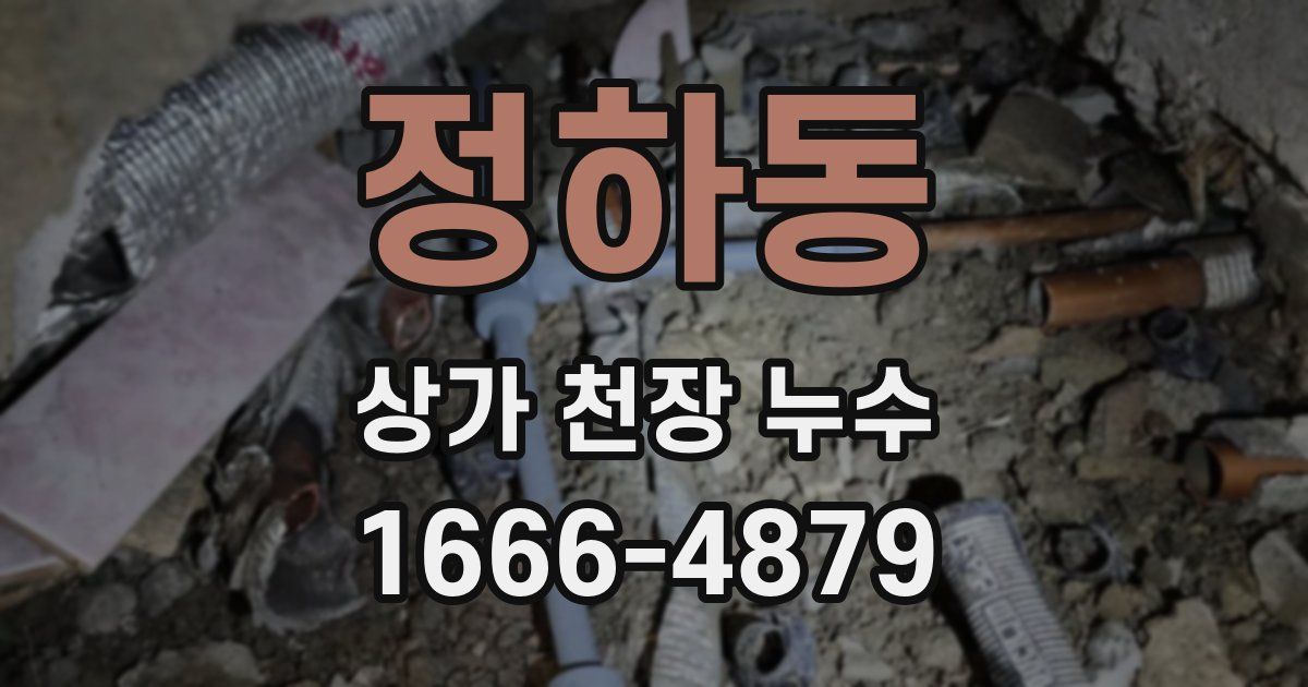 정하동 상가 천장 누수