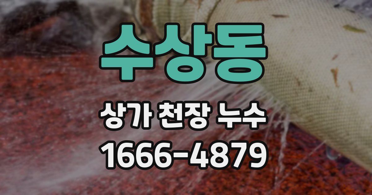 수상동 상가 천장 누수