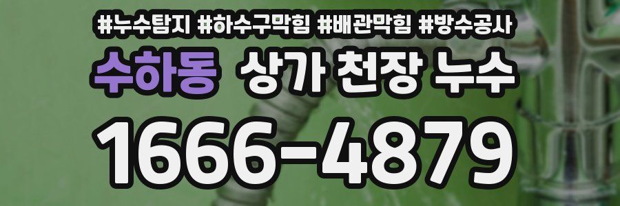 수하동 상가 천장 누수