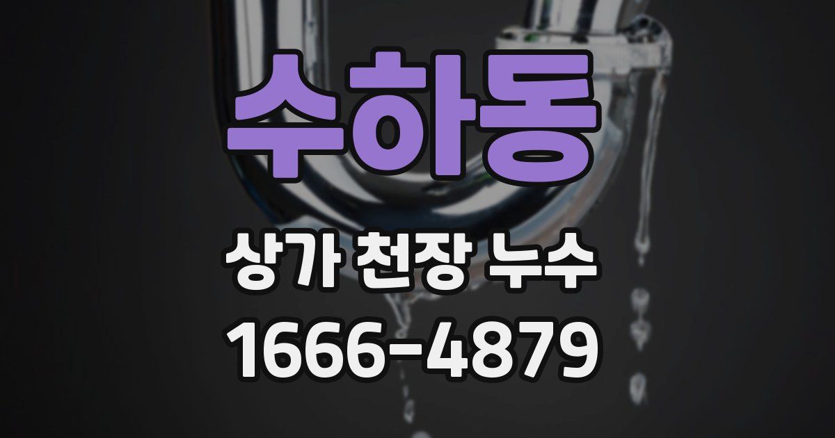 수하동 상가 천장 누수