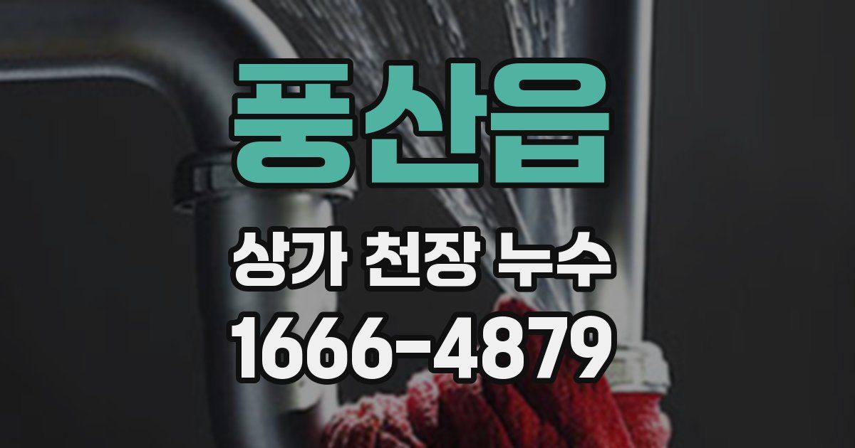 풍산읍 상가 천장 누수