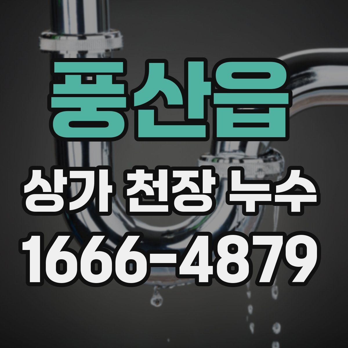 풍산읍 상가 천장 누수