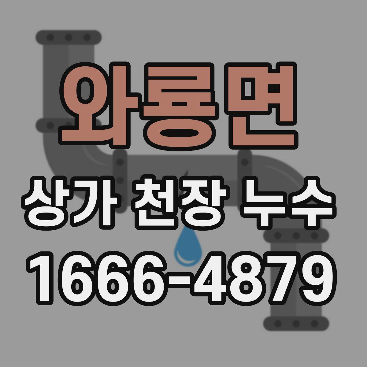 와룡면 상가 천장 누수