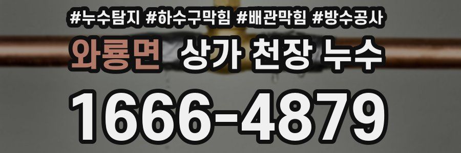 와룡면 상가 천장 누수