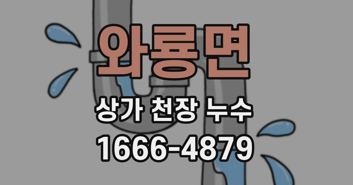 와룡면 상가 천장 누수