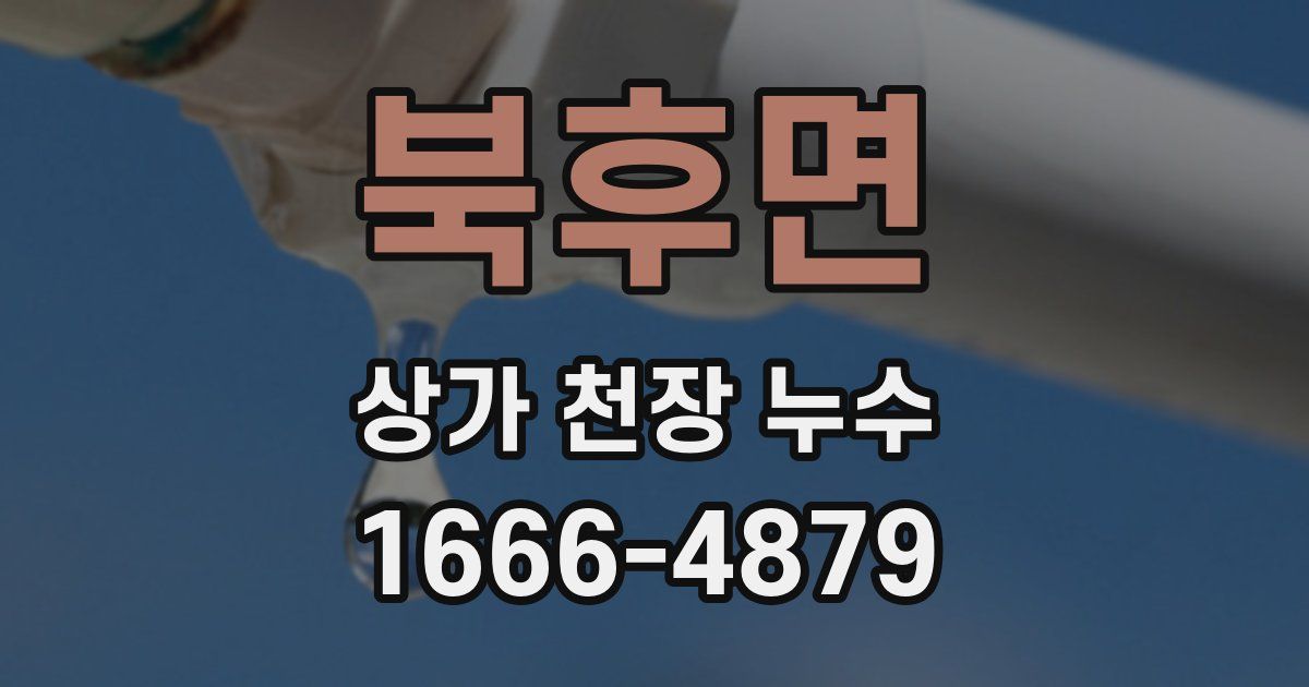 북후면 상가 천장 누수