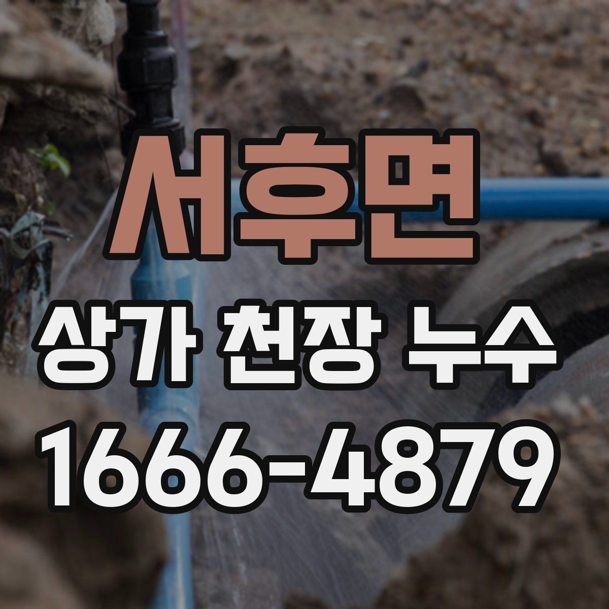 서후면 상가 천장 누수