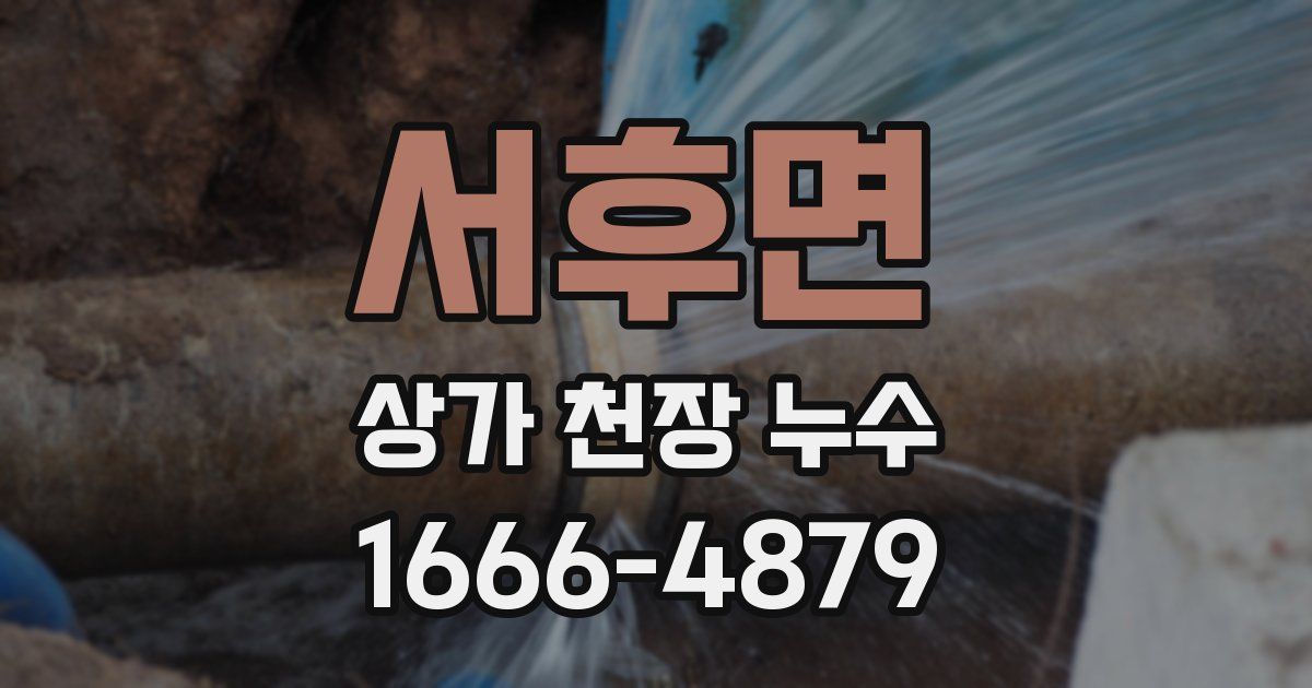 서후면 상가 천장 누수