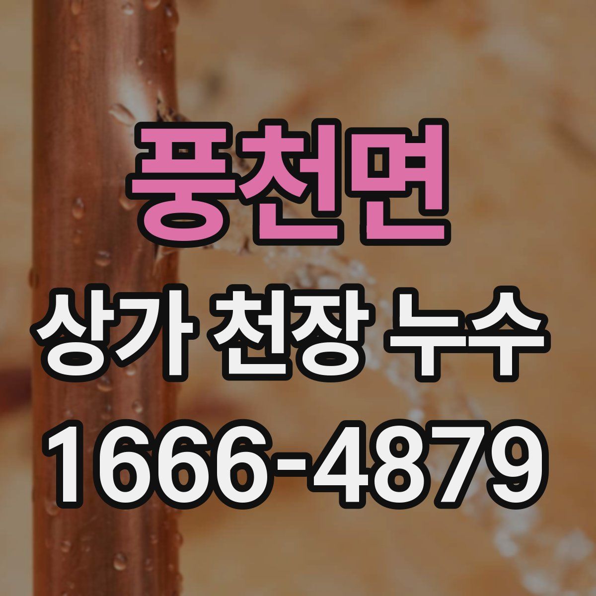 풍천면 상가 천장 누수
