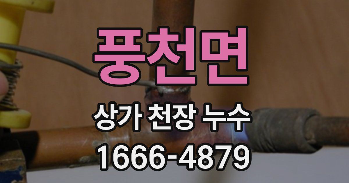 풍천면 상가 천장 누수