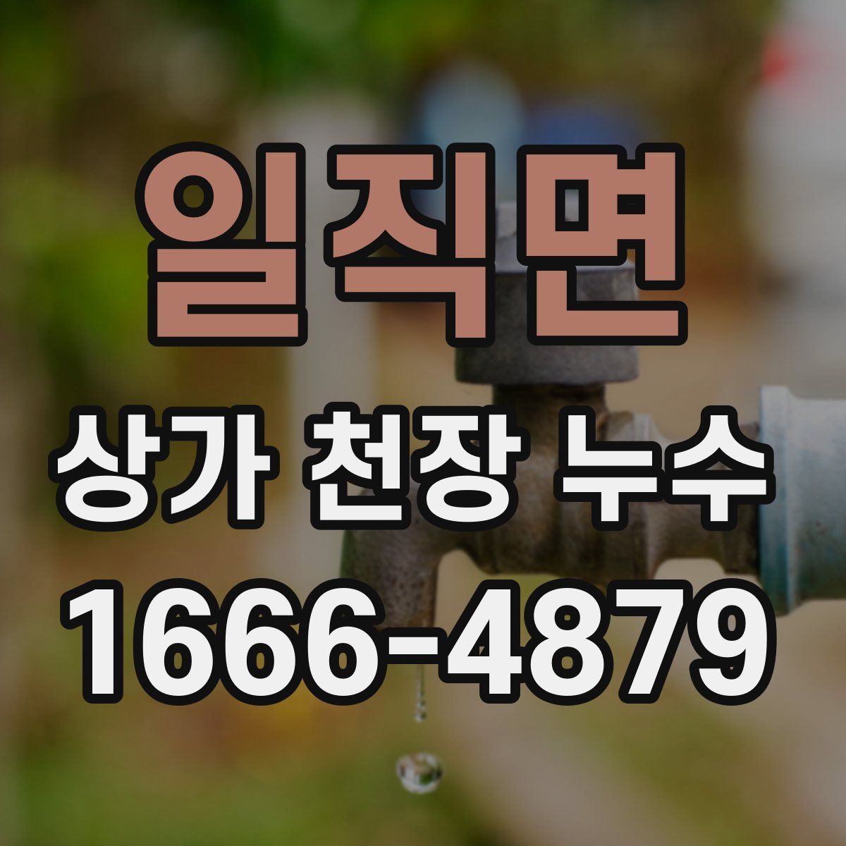 일직면 상가 천장 누수