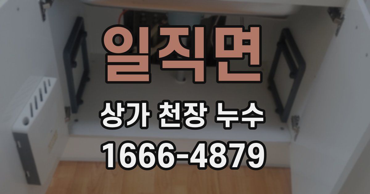 일직면 상가 천장 누수