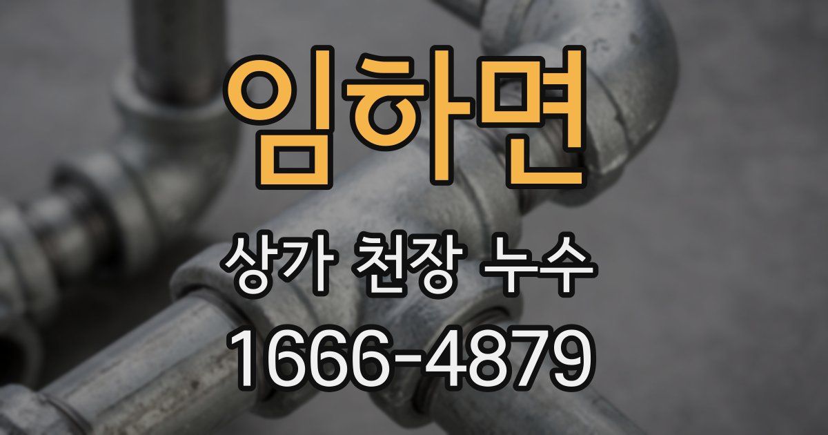 임하면 상가 천장 누수