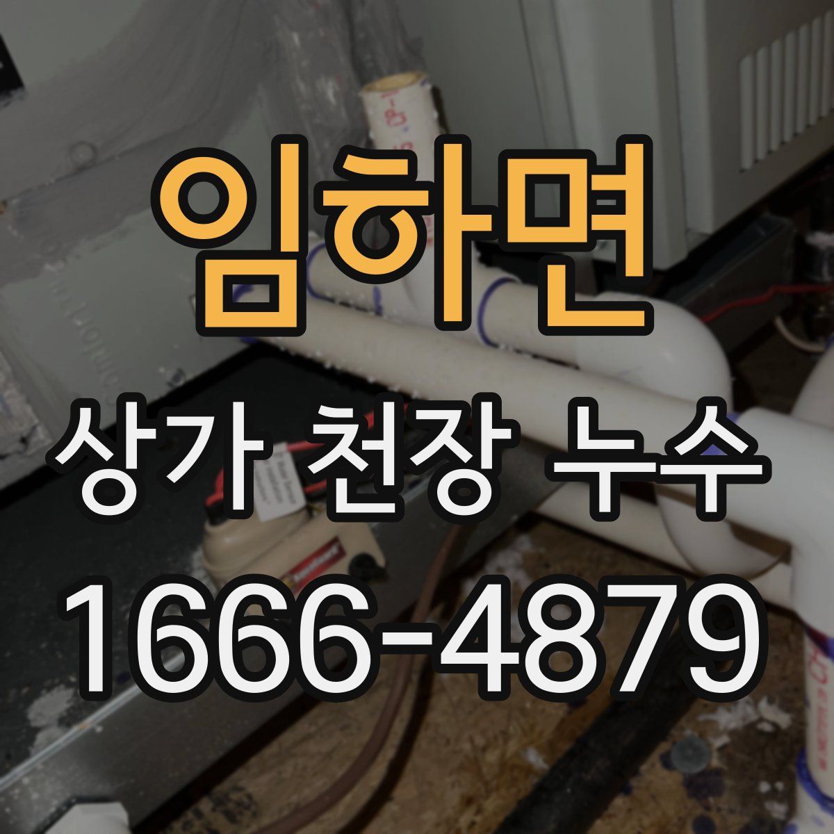 임하면 상가 천장 누수