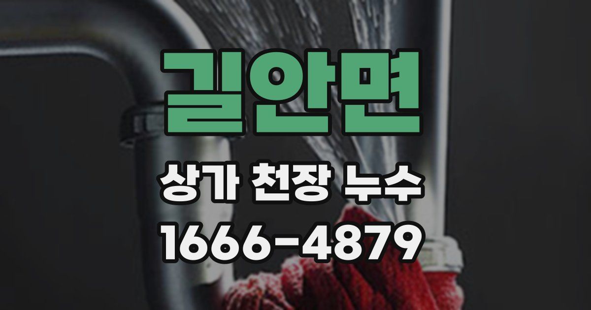 길안면 상가 천장 누수