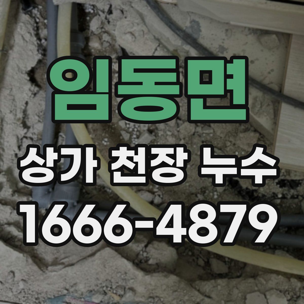 임동면 상가 천장 누수