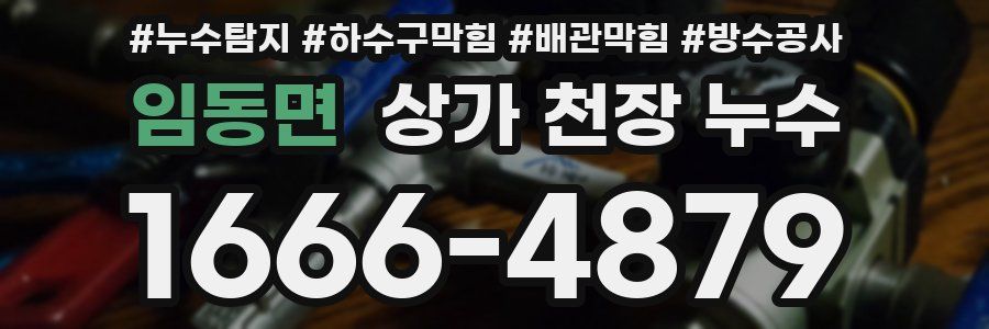 임동면 상가 천장 누수