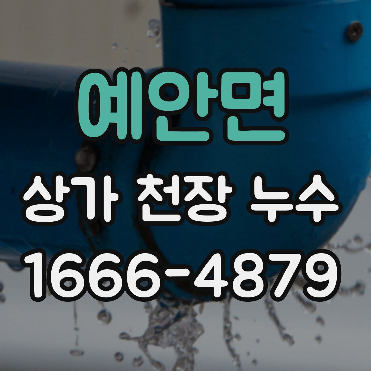 예안면 상가 천장 누수
