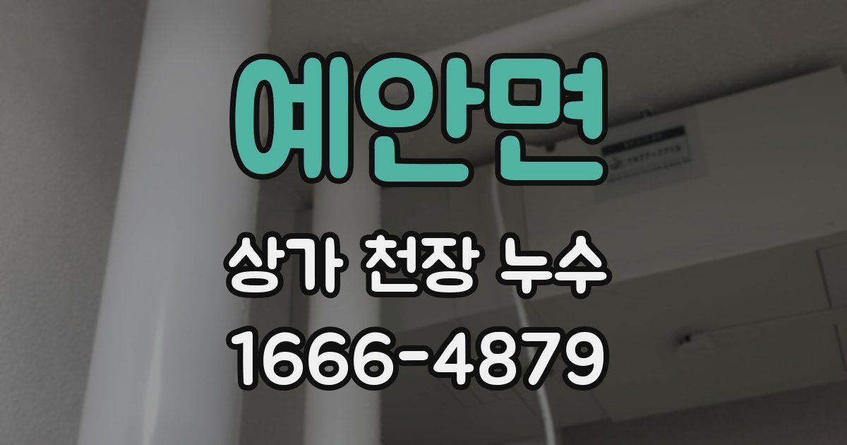 예안면 상가 천장 누수