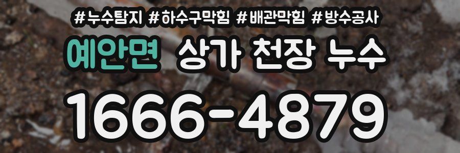 예안면 상가 천장 누수