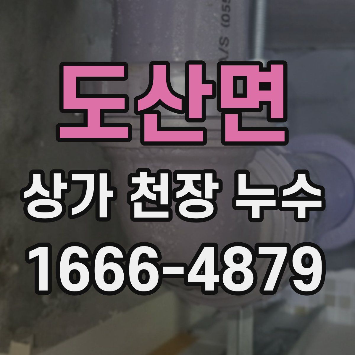 도산면 상가 천장 누수