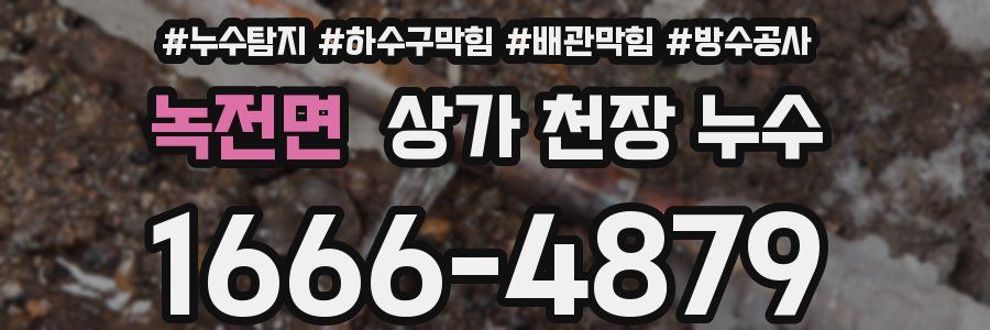 녹전면 상가 천장 누수