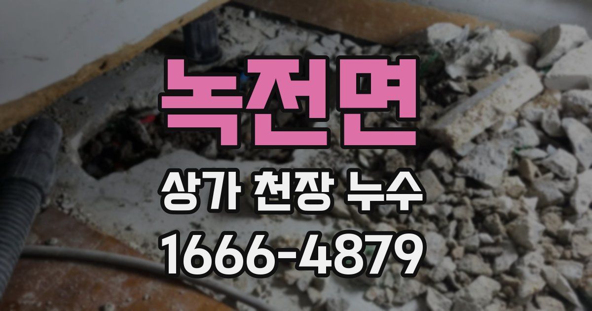 녹전면 상가 천장 누수