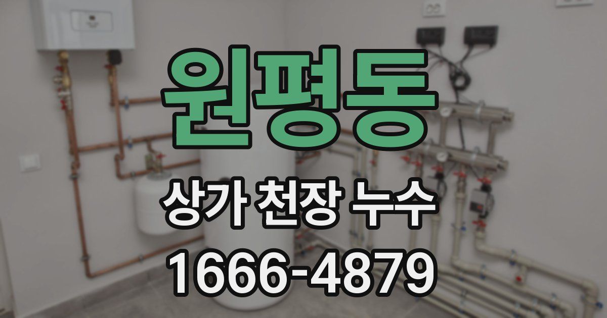 원평동 상가 천장 누수
