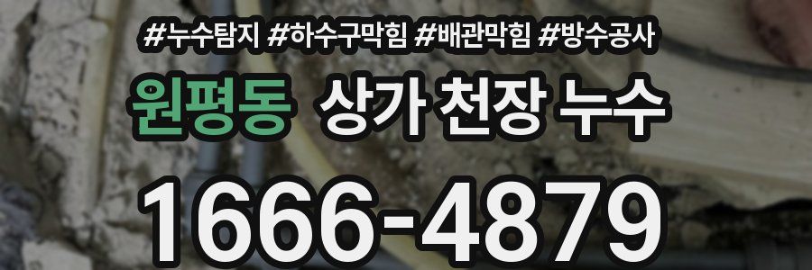 원평동 상가 천장 누수