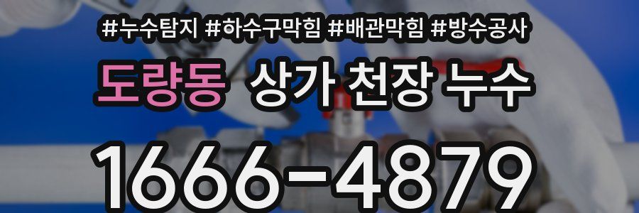 도량동 상가 천장 누수
