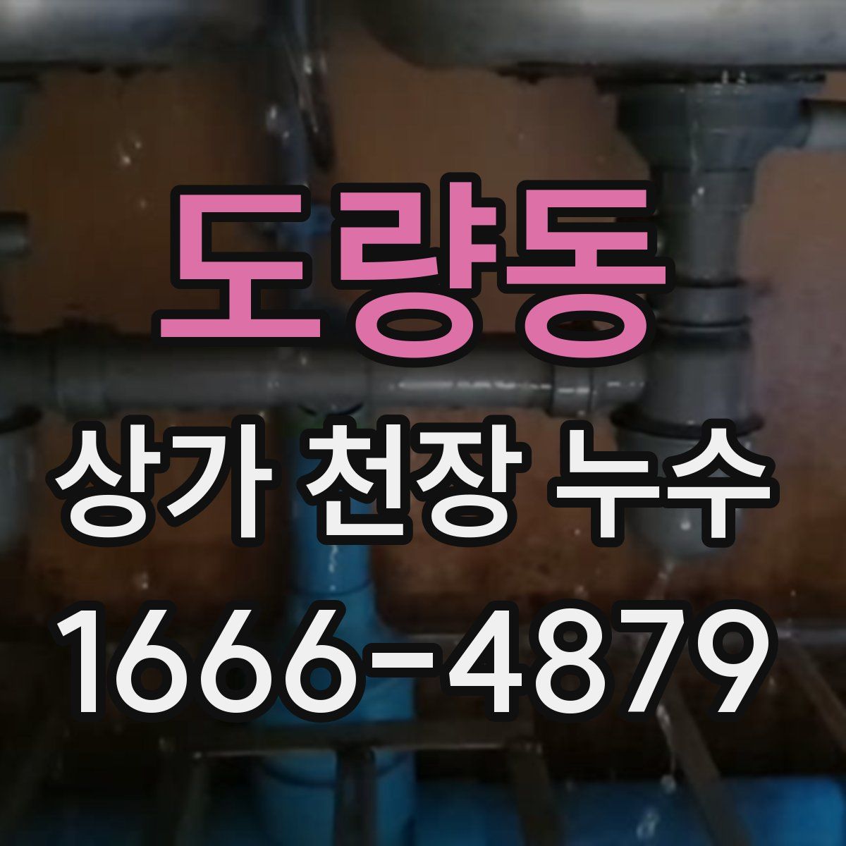 도량동 상가 천장 누수