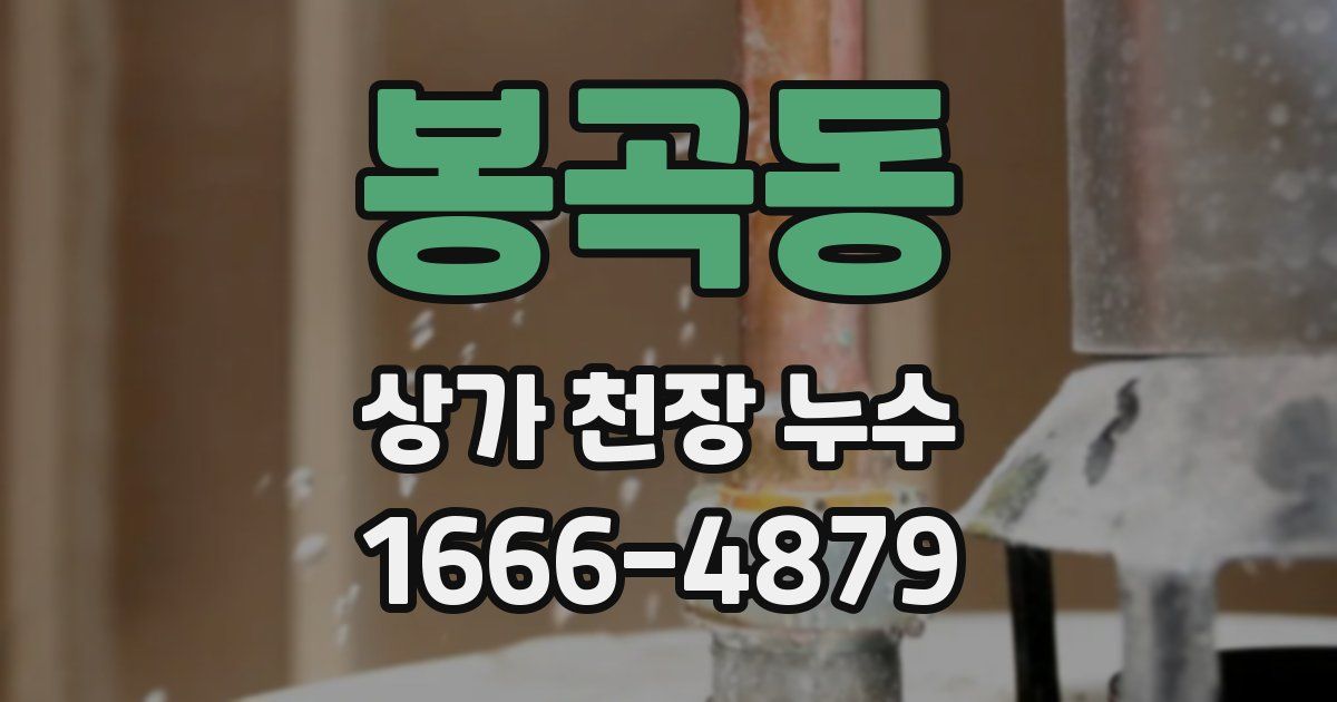 봉곡동 상가 천장 누수