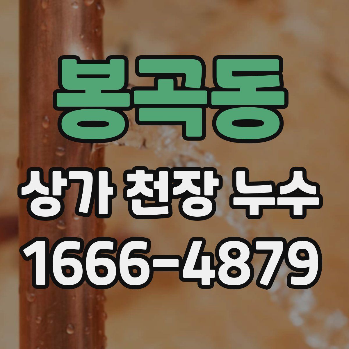 봉곡동 상가 천장 누수