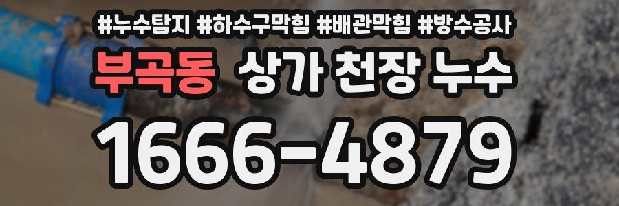 부곡동 상가 천장 누수