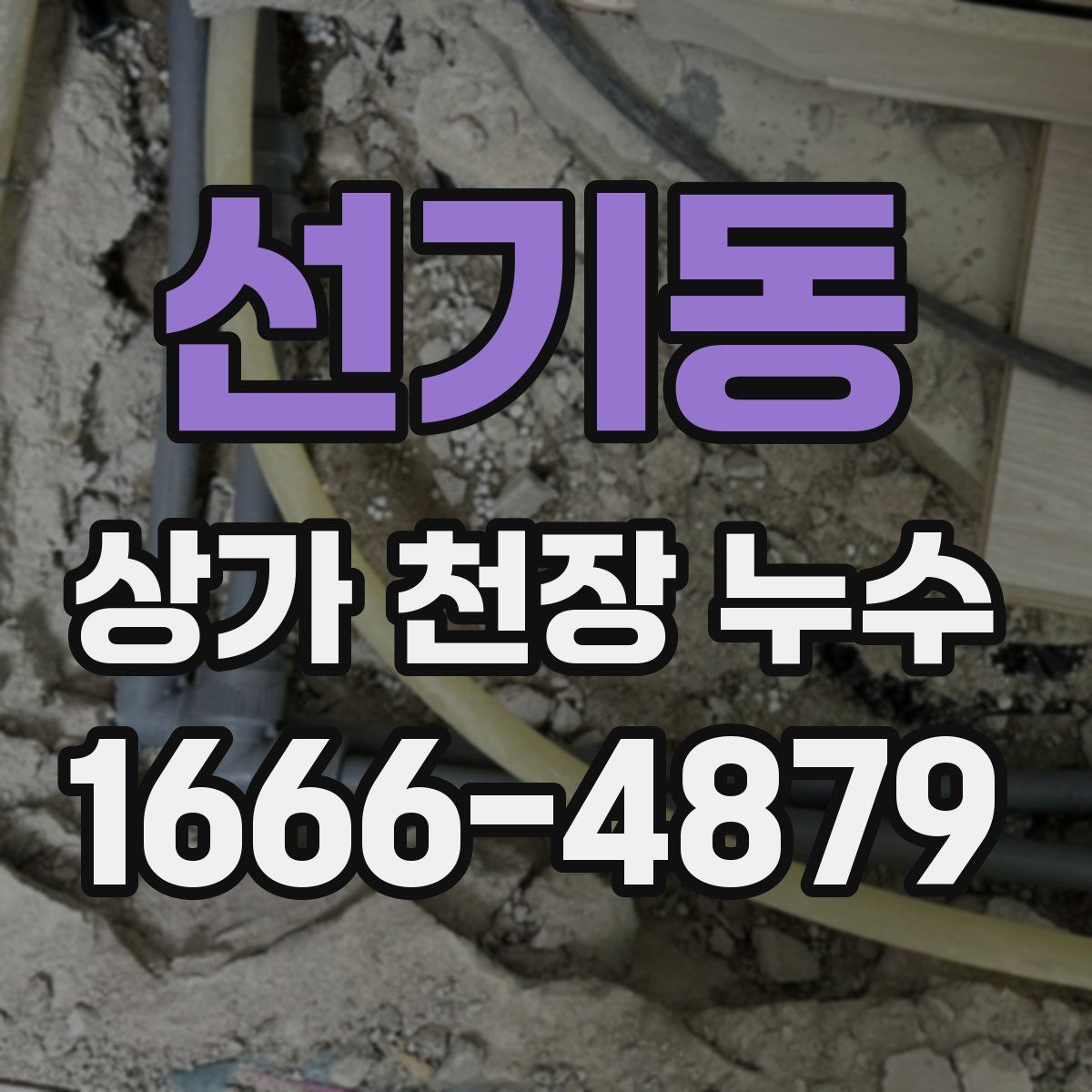 선기동 상가 천장 누수