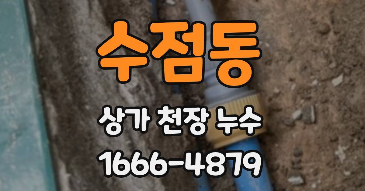 수점동 상가 천장 누수