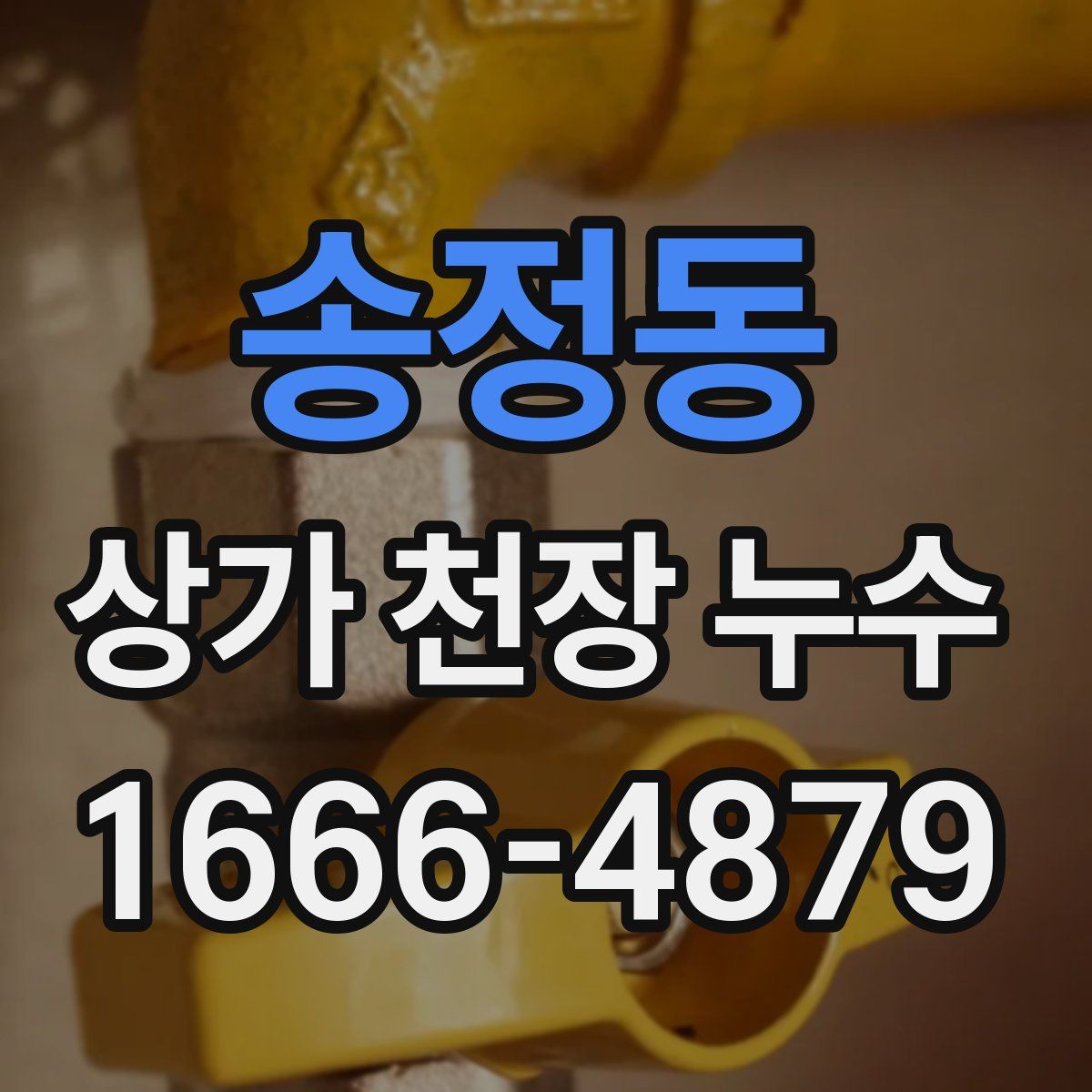송정동 상가 천장 누수