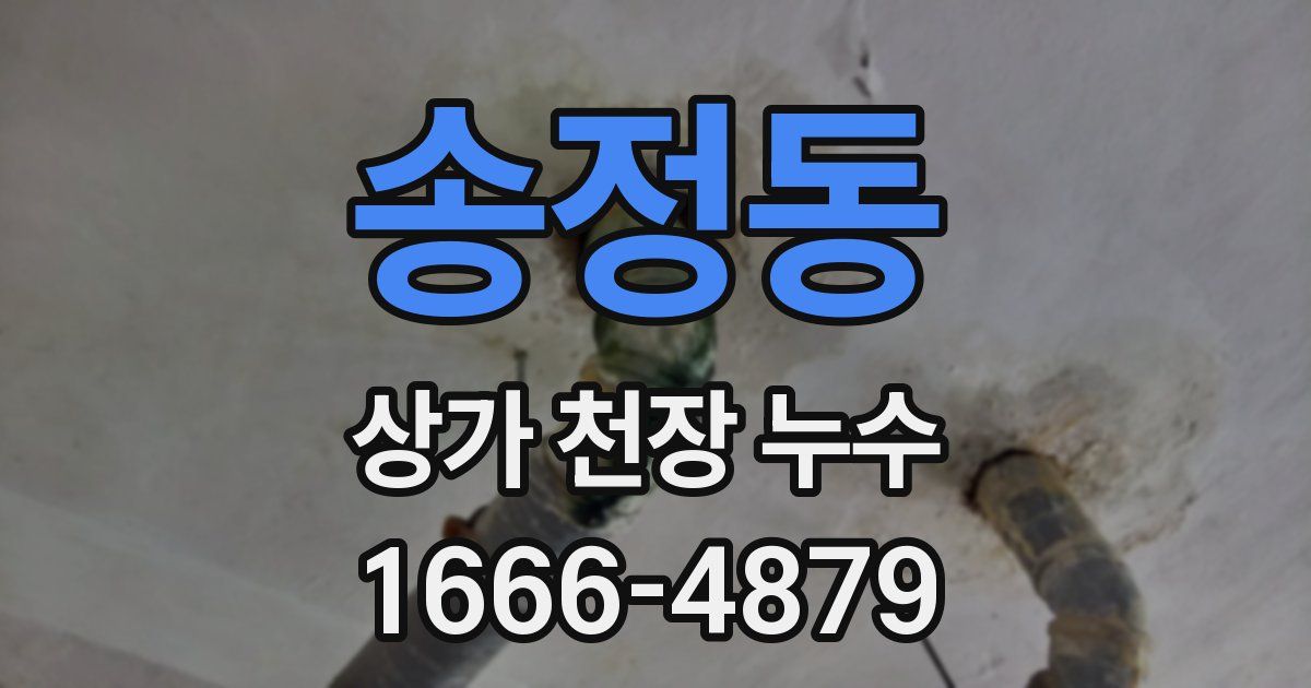 송정동 상가 천장 누수