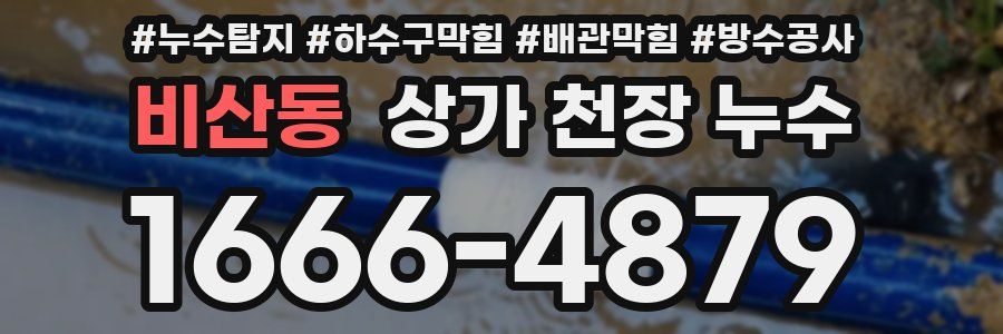 비산동 상가 천장 누수
