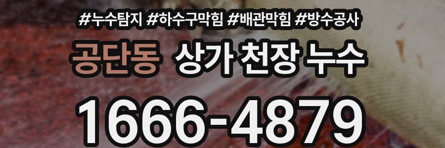 공단동 상가 천장 누수