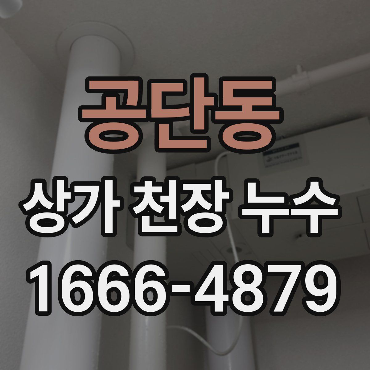 공단동 상가 천장 누수