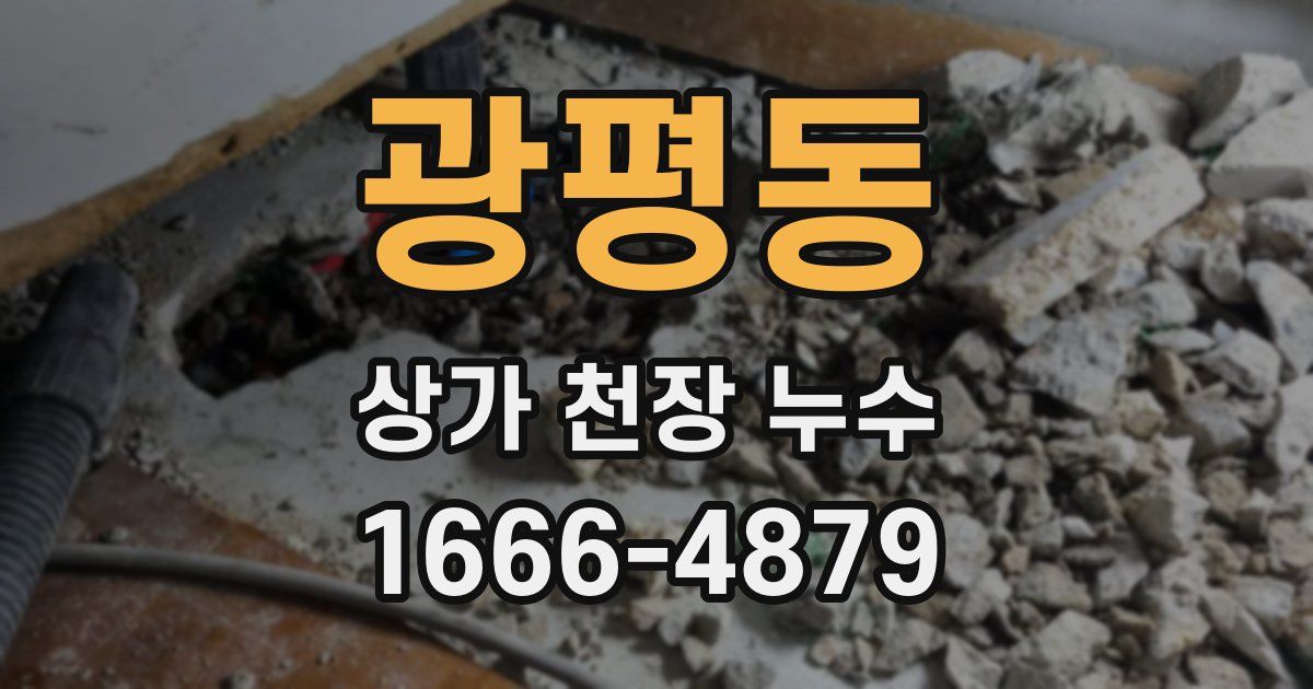 광평동 상가 천장 누수