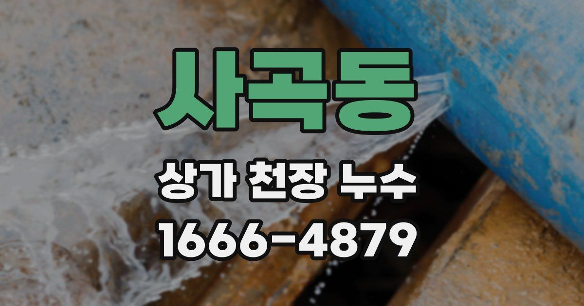 사곡동 상가 천장 누수