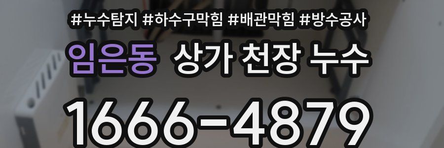 임은동 상가 천장 누수