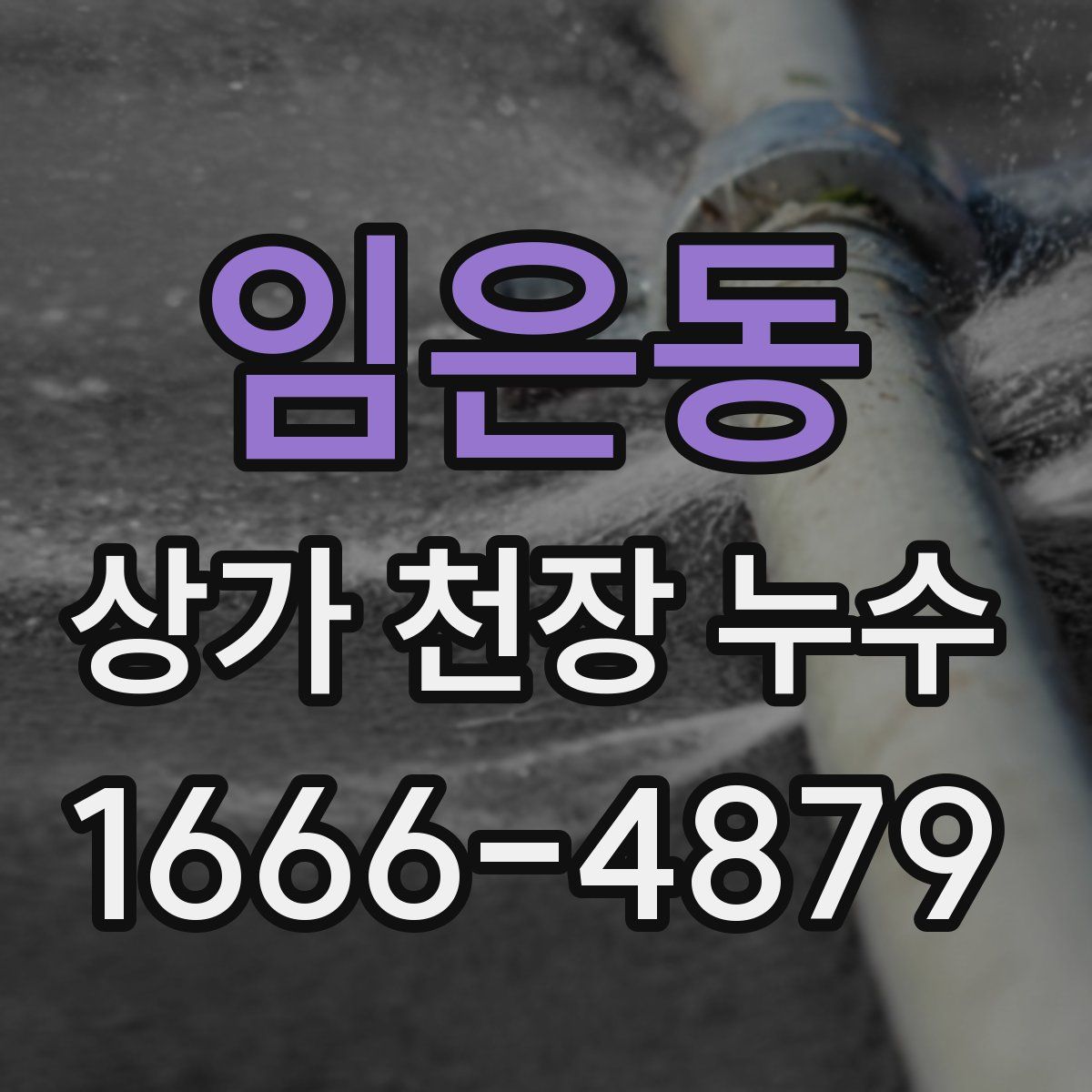 임은동 상가 천장 누수