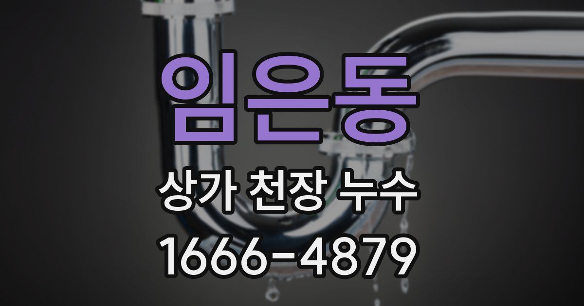 임은동 상가 천장 누수