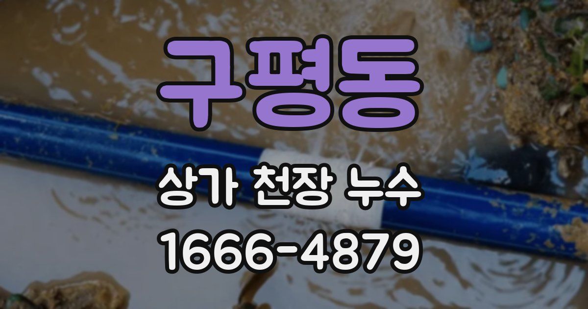 구평동 상가 천장 누수