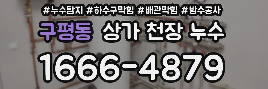구평동 상가 천장 누수